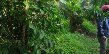 Lô đất cần bán đất vườn trái cây mọi loài