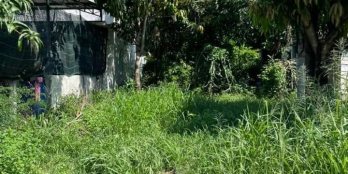 Đất suối hiệp đường bêtông 5-6m QH đường 15m giá mùa dịch