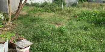 Cần bán lô đất đẹp KĐT Phú Ân Nam 2, Diên An, Diên Khánh. Diện tích 108m2