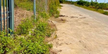 Bán nhanh lô gốc Diên An 2 mặt tiền đường 8 met. Diện tích : 244.7m2