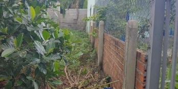 Em cần bán gấp lô diên sơn xóm gò 7 Dt 97m. Đường 4m oto tân nơi