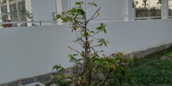 Bán Nhanh Lô Đất Đẹp thôn An Ninh - Diên An Gần Võ Nguyên Giáp