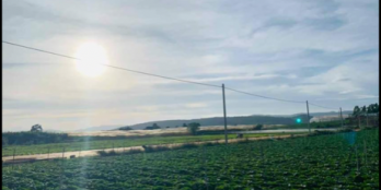 Cần tiền nên bán lô đất ngay trung tâm Thạnh Mỹ có sổ hồng riêng