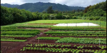 Lô đất giá rẻ nhất Thạnh Mỹ có hỗ trợ lên thổ cư