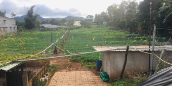 Chính chủ cần bán lô đất đẹp giá rẻ 2tỷ550 có diện tích 2642m2