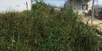 Bán đất bao đẹp có giá 850tr có diện tích 5x56 và 100m2 thổ cư