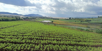 Cần bán Đất hơi triền vị trí đẹp thấy cảnh đồi núi bao quanh