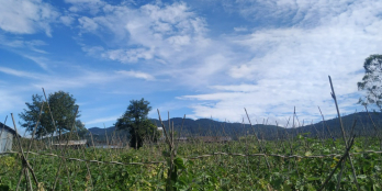 Chủ kẹt tiền bán gấp 350m2 đất sẵn thổ cư tại Đơn Dương chỉ 580tr