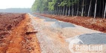 Cần bán lô đất Đồng Phú gần KCN Becamex Bình Phước