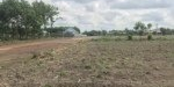 Bán gấp sào đất 1045m2, 330tr, ngay QL14, cao tốc Đồng Phú, Becamex 6400ha