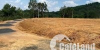 Bán gấp 1 nền 250m2 có 100m2 thổ cư gần khu dân cư, mặt tiền đường nhựa 6m