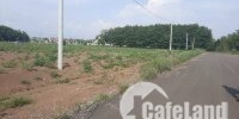 Hậu covid ra ngay lô đất 6x30m, ngay Coopmart Đồng Phú, KDL Đảo Yến Sơn Hà 650tr