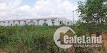 Đất Bình Phước đối diện khu công nghiệp Bắc Đồng Phú