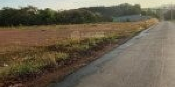 Đất đầu tư bao sinh lời 1000m2 giáp KCN Bắc Đồng Phú