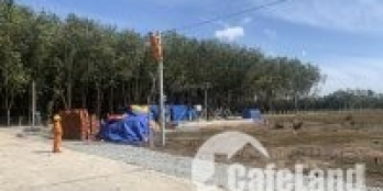 Cần bán gấp lô đất để về quê kịp Tết,Bình Phước