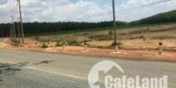 Cần bán gấp đất mặt tiền đường nhựa 24m, BP