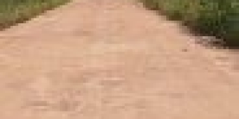 đất Bình Phước DT: 6 x 22m, full thổ cư,Xã Tân Lập