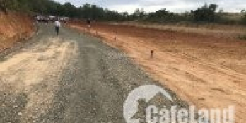 Đất ngay tuyến số 2,3 KCN Becamex cách KCN Becamex 6300ha - 1km