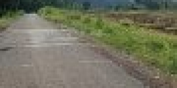 Bán đất Thuận Phú - Đồng Phú mặt đường nhựa giá siêu rẻ