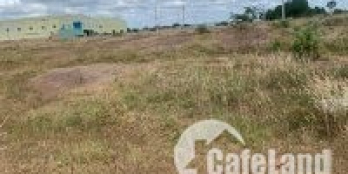 Về quê sinh sống cần bán gấp đất KCN Đồng Phú, Bình Phước