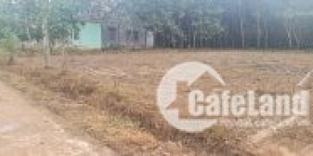 BÁN LÔ ĐẤT SAU LƯNG UBND,ĐƯỜNG QH 26M ,Bình Phước