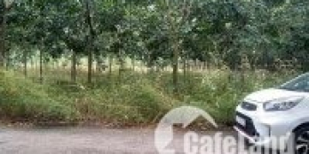 Ra gấp lô 2000m2 giá 420trieu,Xã Đồng Tiến, Đồng Phú