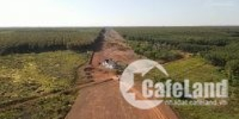 Bán Đất Tuyến số 2 Becamex Đồng Phú 6300 ha