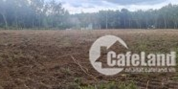 BÁN LÔ ĐẤT SAU LƯNG UBND, GIÁ 750TR