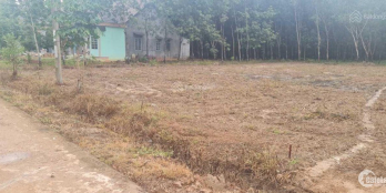 BÁN LÔ ĐẤT SAU LƯNG UBND XÃ TÂN LỢI 5,6X46M TC 100M2 ĐƯỜNG QH 26M GIÁ 750TR