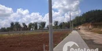 Đất sào Tân Hưng kẹt tiền cần bán