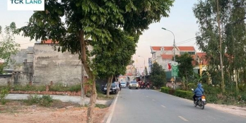 Cần bán đất trục chính Việt Dân- Đông Triều. Diện tích 125m2