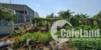 Cần bán lô 10x45m miếng mặt tiền công viên,Xã Tiến Hưng