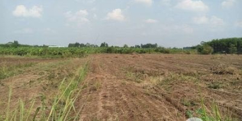 Đất chính chủ 1400m2 pháp lý đầy đủ