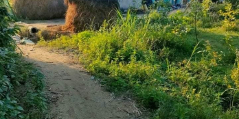 Đức phổ diện tích gần 1100m2 đất BHK bán rẻ cho ai thiện chí mua luôn