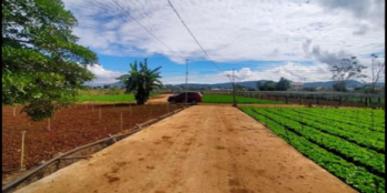 Đất bán diện tích 5x25m , sẵn 100 thổ cư với giá : 850 triệu