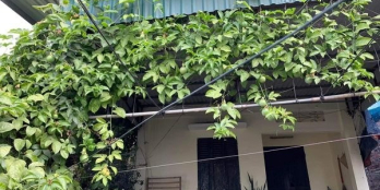 Cần bán đất ngõ 13 Nguyễn Văn Cừ, Hồng Hải, Hạ Long. Diện Tích Sổ 182m2