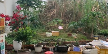 Cần bán ô đất Cột 8 Hồng Hà đối diện trung tâm công tác xã hội tỉnh