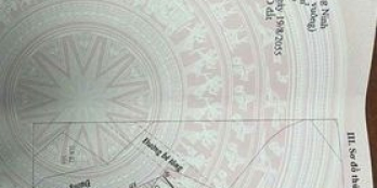 Chính chủ em cần bán  2 em hoa hậu đồi cao, Hà Khẩu