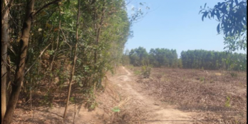 Đất bán chính chủ sát cụm công nghiệp thắng hải, tân thắng, hàm tân