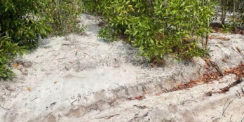 BÁN ĐẤT CHÍNH CHỦ PHỦ HỒNG NGAY TRUNG TÂM KCN BECAMEX BÌNH THUẬN GẦN 8.000M2