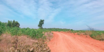 Bán gấp 36000m2 có hơn 300m mặt tiền đất sạch gần cụm CN Thắng Hải, Hàm Tân Bình