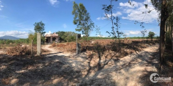 Cần Bán Lô 3Ha9 Có 200m2 Thổ Cư Bình Thuận