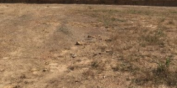 Kẹt tiền bán đất 1,3 mẫu (phủ hồng) giá chỉ 6,4 tỷ còn bớt