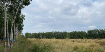 Bán đất cách nút giao cao tốc chỉ 3.8km