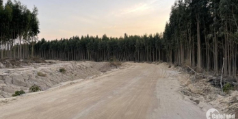 Bán 600 mặt tiền kênh Thủy Lợi-Tân Xuân-LaGi giá chính chủ