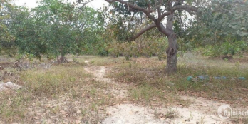 Bán hơn 2 mẫu đất cực đẹp xã Tân Đức