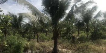 t 1 ha 2 ven biển Tân Thắng, Bình Thuận, giá 15 tỷ