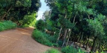 Đất 2 MT đường đất đỏ sát Cô Kiều giá 3,5 tỷ