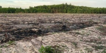 Bán lô đất 2 mặt tiền đường đất 6m thôn 4, đường số 15, xã Sơn Mỹ