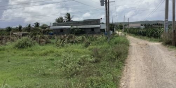 Bán 3538m đất CLN giá 3 tỷ - Thị trấn Phú Long - huyện Hàm Thuận Bắc